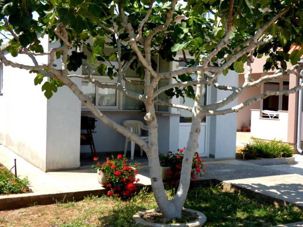 Apartments Branko Nin Exterior foto